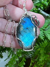 Load image into Gallery viewer, Pacific Labradorite Wrapped Necklace