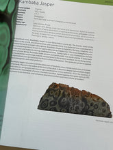 Load image into Gallery viewer, Encyclopedia of Crystals, Revised and Expanded  Judy Hall Paperback